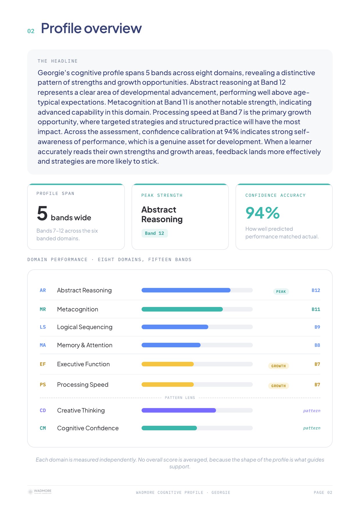 Sample report: profile overview with domain performance bars